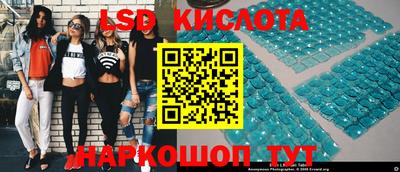 скорость Бердск
