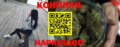 скорость Бердск