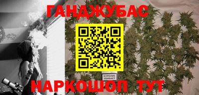 скорость Бердск