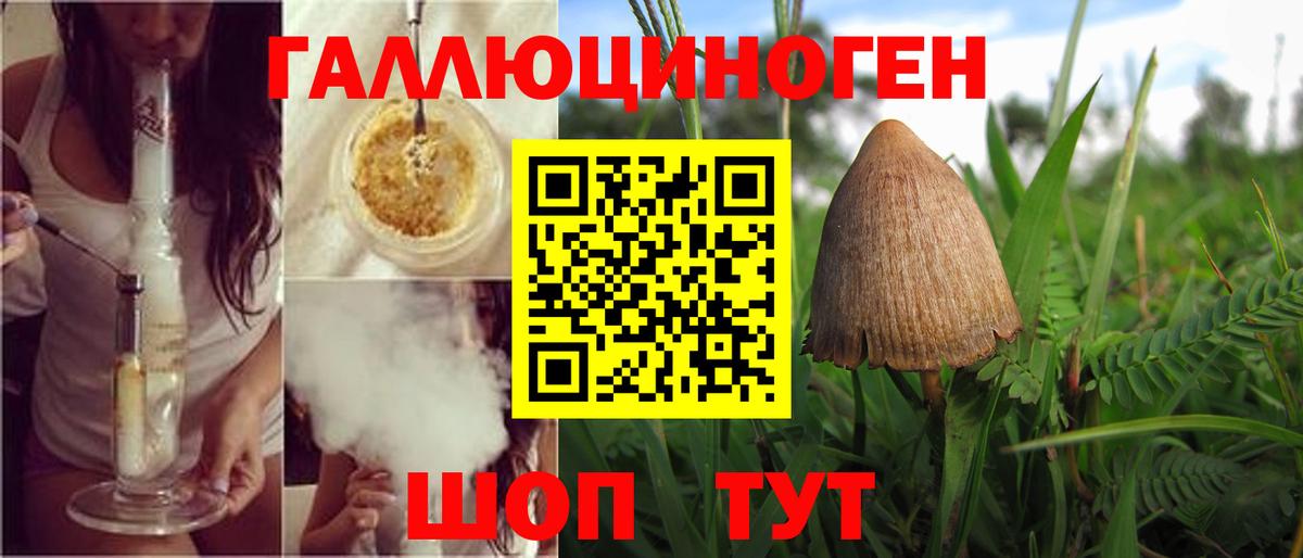 Галлюциногенные грибы Magic Shrooms  Вход с VPN  Киселёвск 